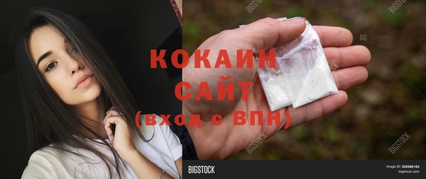 стафф Ростов