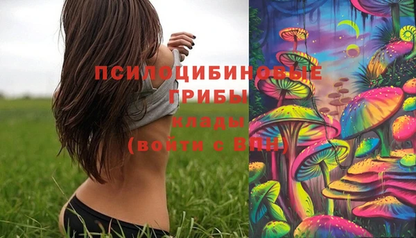 мдма Горнозаводск