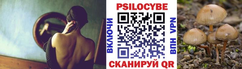 Купить где  Оха  Галлюциногенные грибы Magic Shrooms 